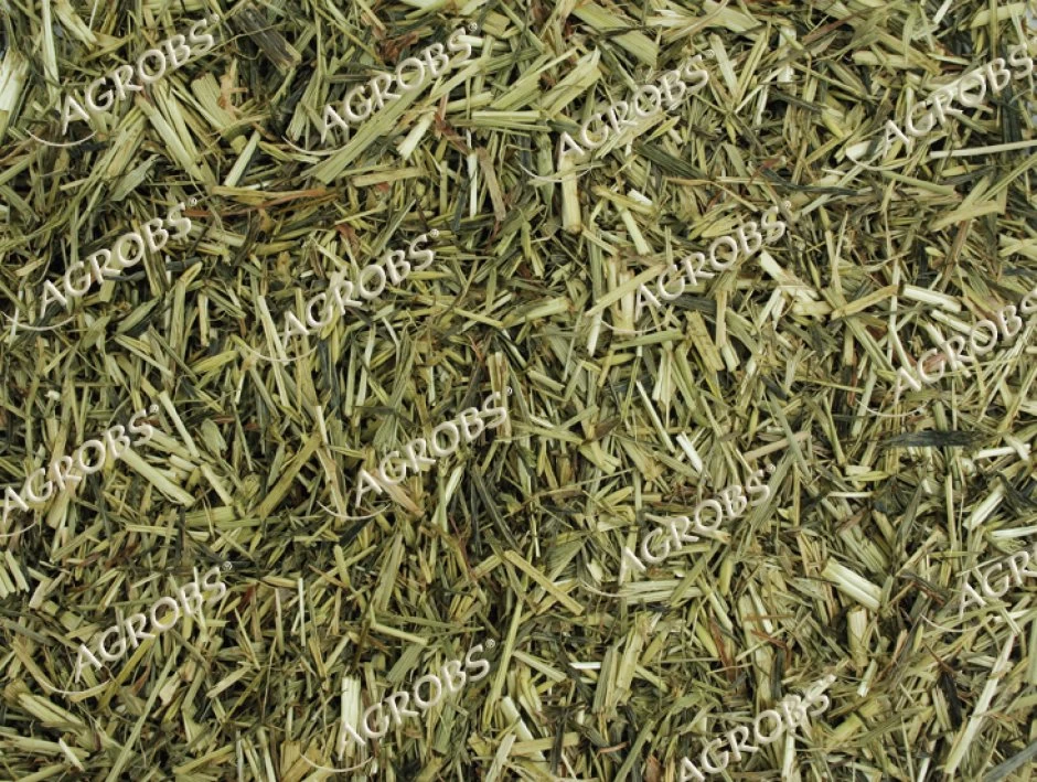 Agrobs Grünhafer 15kg 2 Agrobs Grünhafer 15kg - Image 2