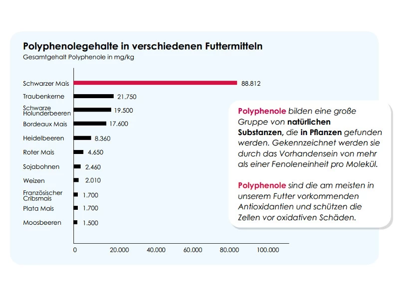 Versele Superstar Plus IC+ Black Label 20kg 3 Versele Superstar Plus IC+ Black Label 20kg - Image 3