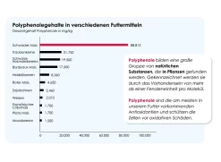 Versele Master R Exclusiv 20kg -Tierfutter Verkauf antioxidantien 12