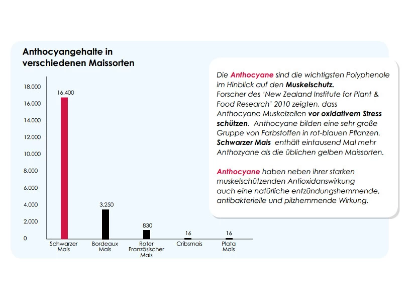 Versele Master Diät Relax 20kg 4 Versele Master Diät Relax 20kg - Image 4