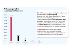 Versele Junior Plus I.C.⁺ 20kg -Tierfutter Verkauf antioxidantien 27
