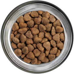 Belcando Junior Lamb & Rice 4kg 5 Belcando Junior Lamb & Rice 4kg -Tierfutter Verkauf belcando napf junior lamb and rice 800x800