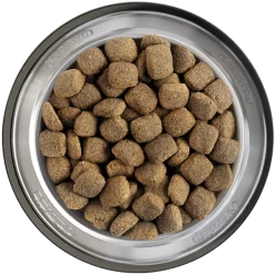 Belcando Junior Maxi 12,5kg -Tierfutter Verkauf belcando napf junior maxi 800x800