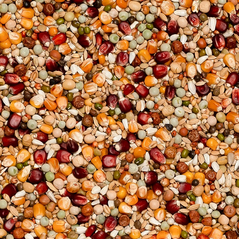 Beyers Premium Jelle Jellema 20kg 1 Beyers Premium Jelle Jellema 20kg