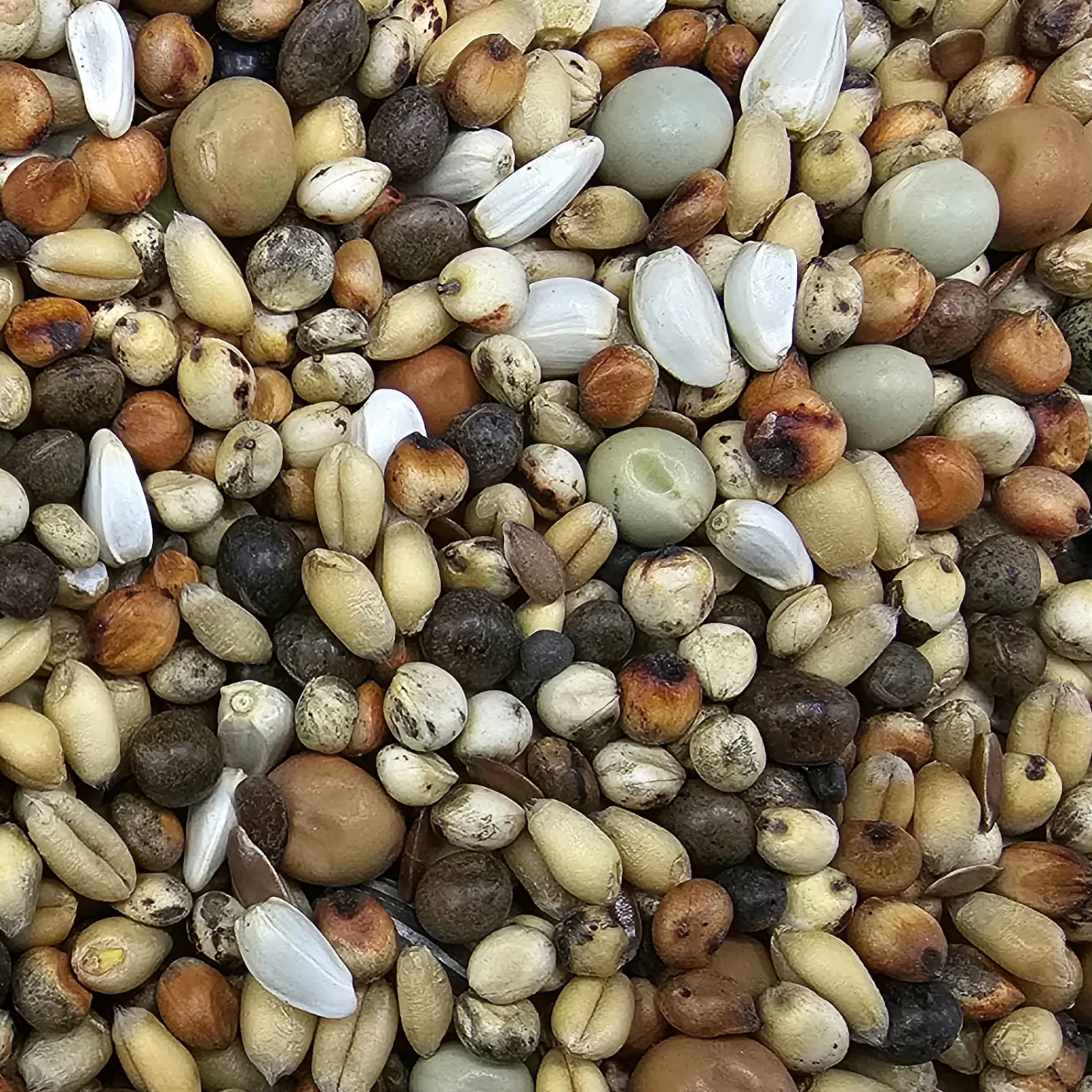 Tierfutter Verkauf -Tierfutter Verkauf beyers 48 web1