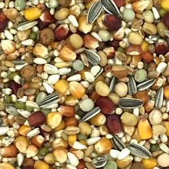 Beyers Galaxy Long Distance TT 20kg