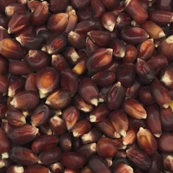 Mais Bordeaux Rot Nr.200 Vanrobaeys 20kg