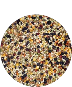 Versele Champion Plus IC+ Black Label, 20kg