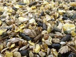 Havens Cool-Mix 20kg -Tierfutter Verkauf coolmix scaled