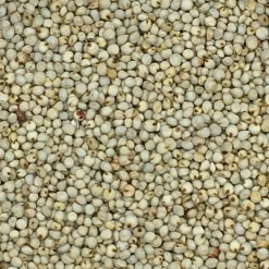 VERSELE-LAGA Dari Weiß - Versele 25kg