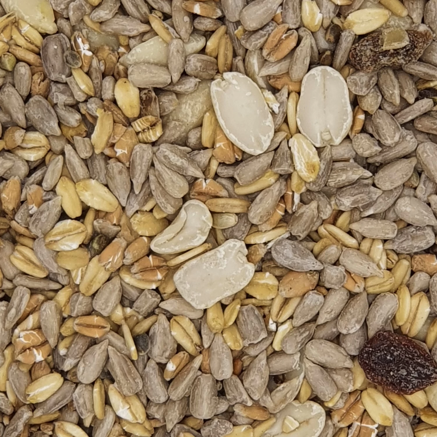 Gevo Gartenvogelfutter Schalenlos 10kg 1 Gevo Gartenvogelfutter Schalenlos 10kg