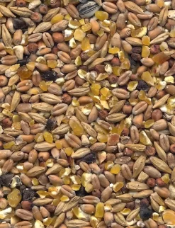 Havens Scharrel-Graan - Körnerfutter 25kg 5 Havens Scharrel-Graan - Körnerfutter 25kg -Tierfutter Verkauf graanmengelingenscharrelgraan