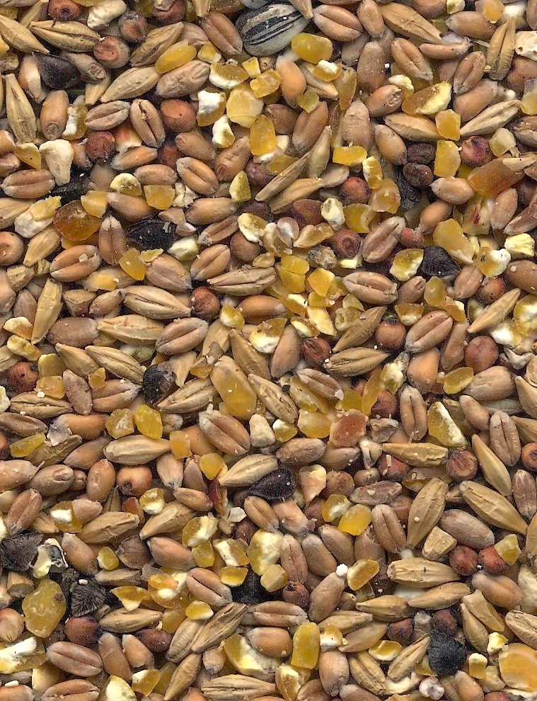 Havens Scharrel-Graan - Körnerfutter 25kg 3 Havens Scharrel-Graan - Körnerfutter 25kg - Image 3