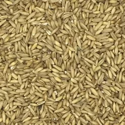 Haferkerne - Vanrobaeys 25kg