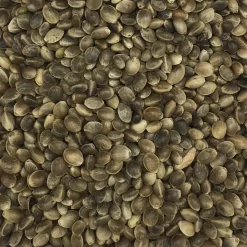 Hanfsaat Mittel - Gladen 20kg