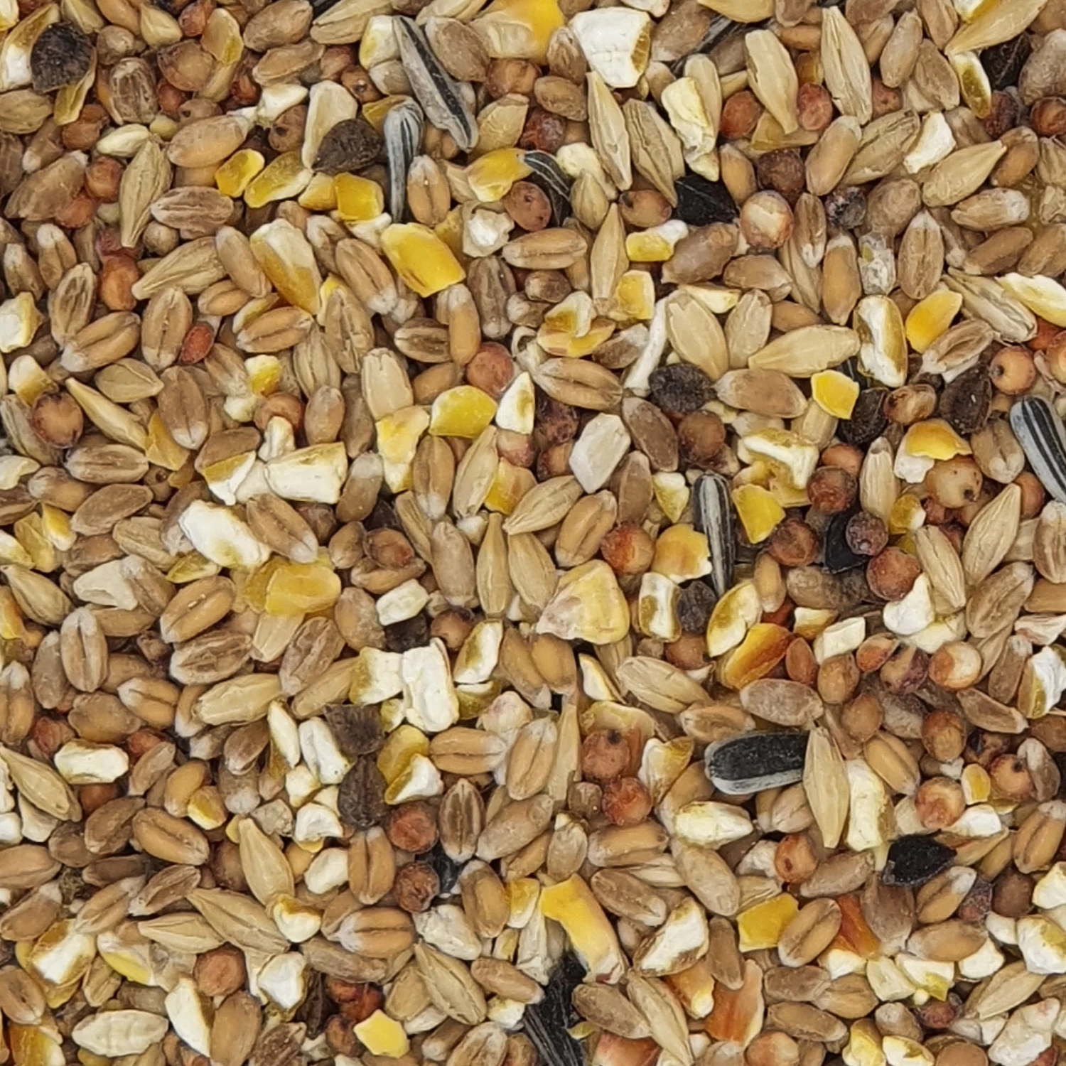 Havens Scharrel-Graan - Körnerfutter 25kg 1 Havens Scharrel-Graan - Körnerfutter 25kg