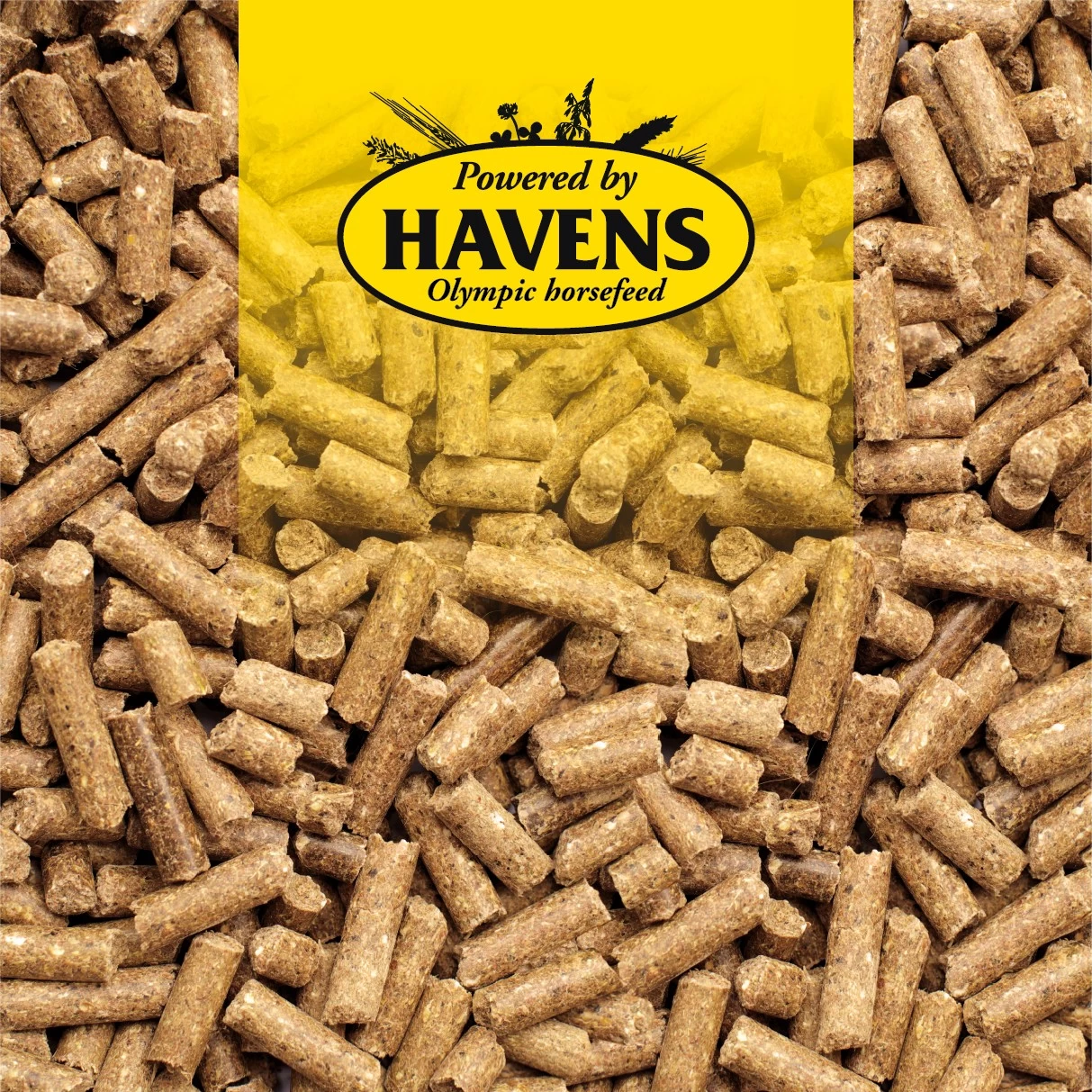 Havens Basis-Sportbrok 25kg 2 Havens Basis-Sportbrok 25kg - Image 2