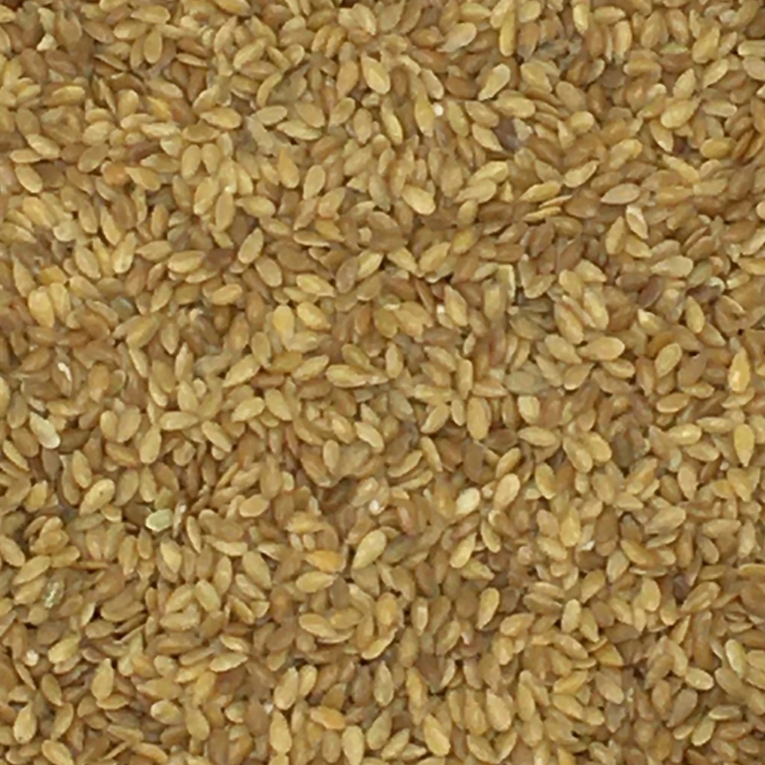 Leinsamen Gelb - Vanrobaeys 25kg 1 Leinsamen Gelb - Vanrobaeys 25kg