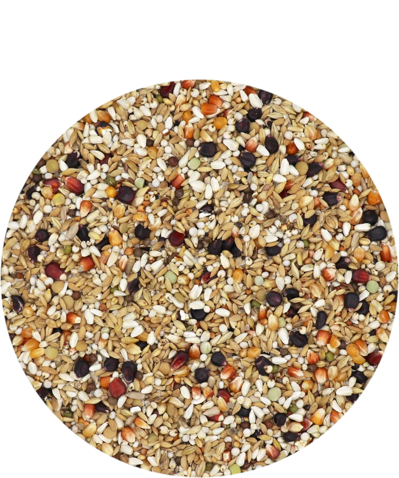 Versele Master Diät Relax 20kg 1 Versele Master Diät Relax 20kg