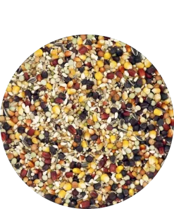 Versele Master Witwer 20kg