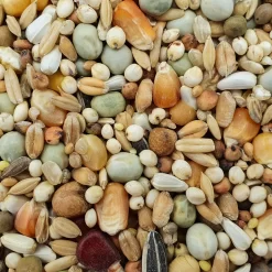 Spinne Zucht- & Reise Forte 25kg