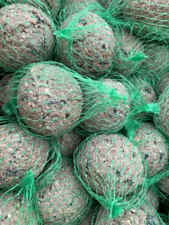 Meisenknödel 100er -Pack