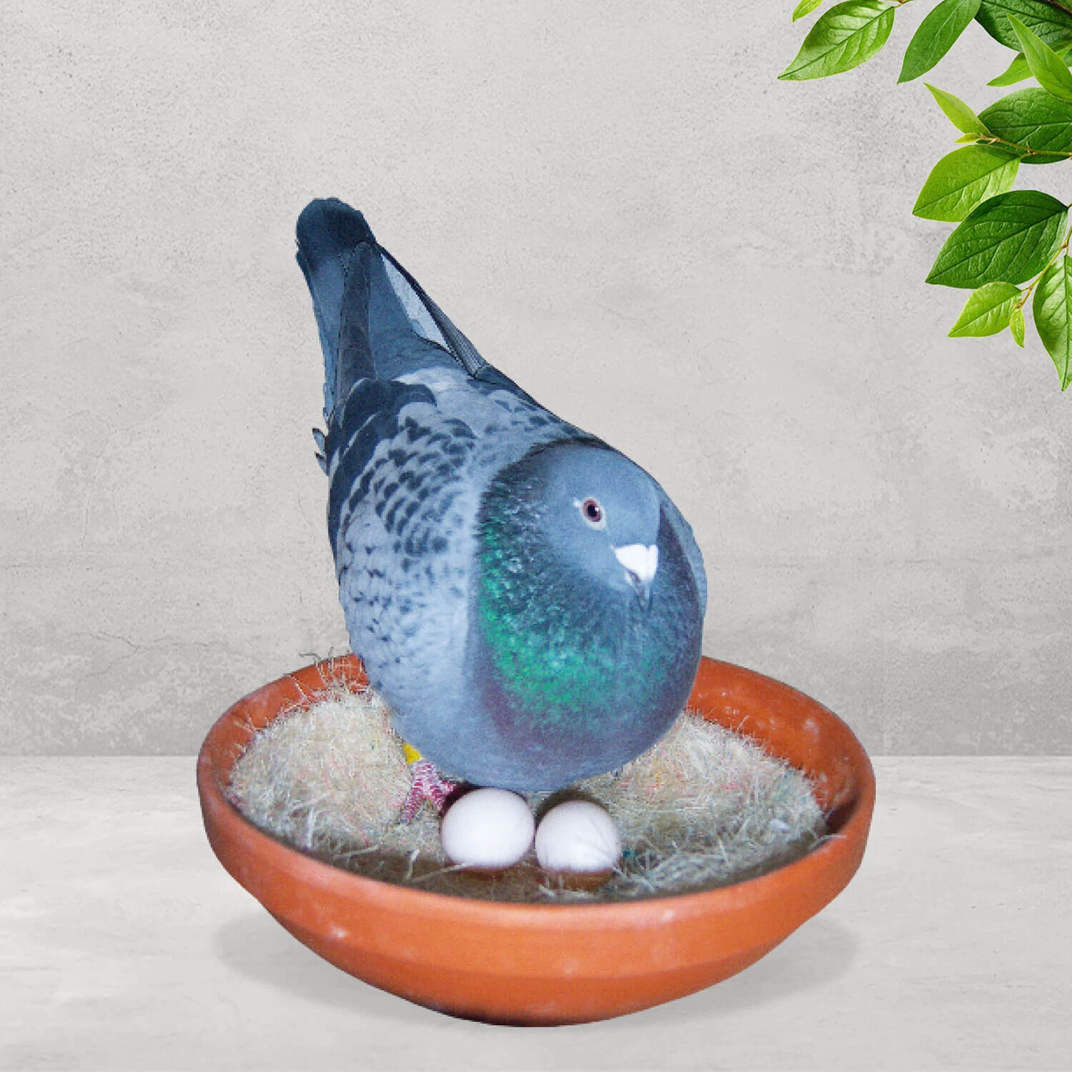 Nesteinlagen Sisal 50 Stück Ø 23cm - Teekontor 1 Nesteinlagen Sisal 50 Stück Ø 23cm - Teekontor