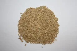 Paddyreis - Vanrobaeys 20kg