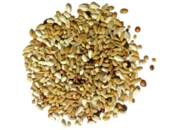 Paloma Nr.19 Diamond Diät 20kg