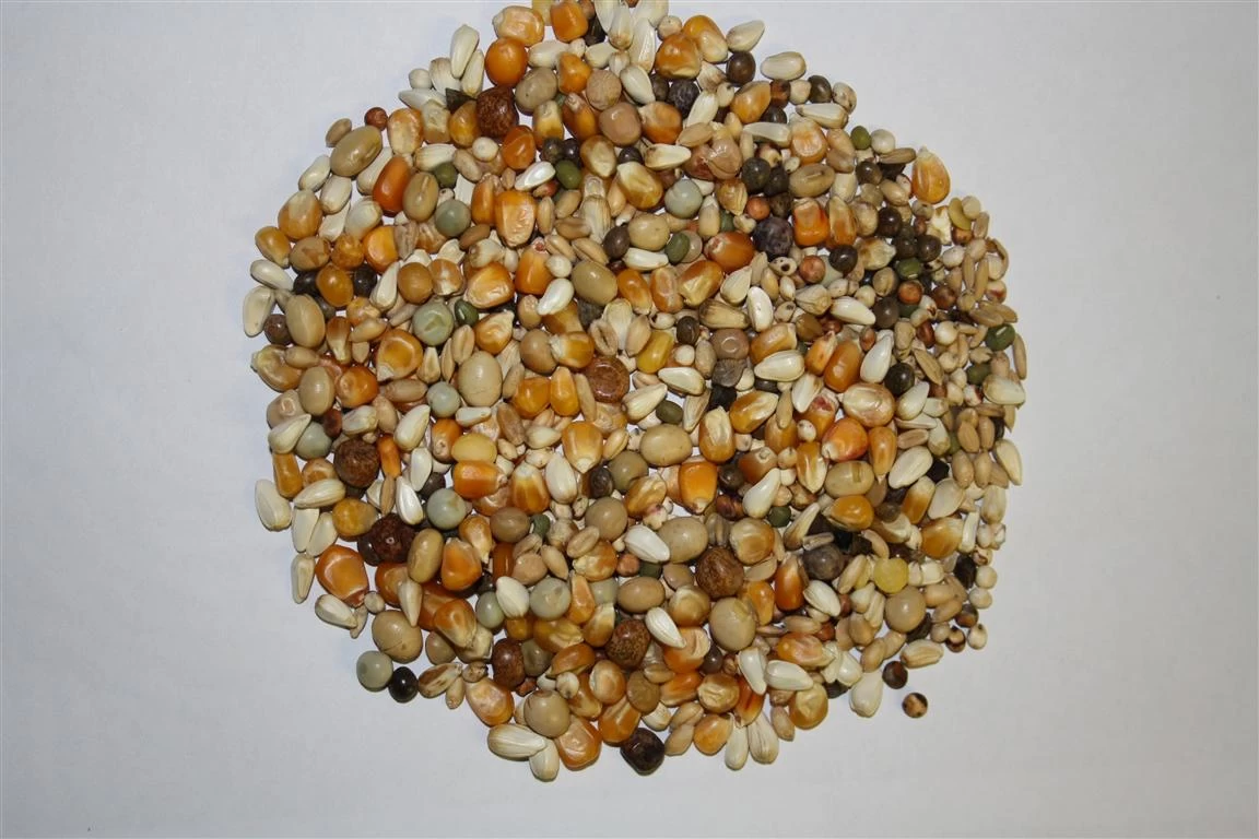 Beyers Premium Jan Keen Super Light 20Kg 1 Beyers Premium Jan Keen Super Light 20Kg