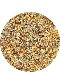 Versele Reise Active Life 25kg