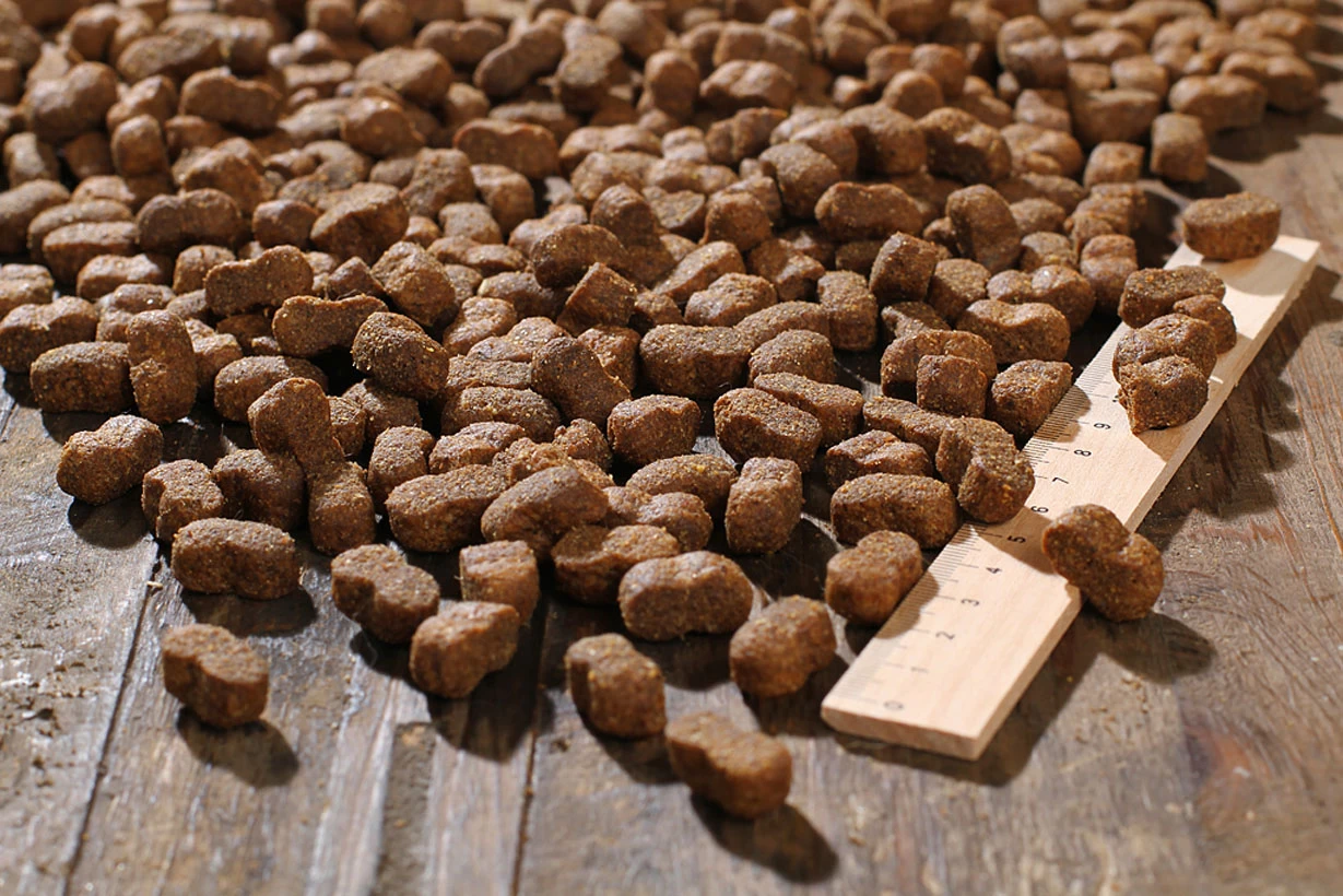 Bewi Dog Junior 12,5kg 3 Bewi Dog Junior 12,5kg - Image 3