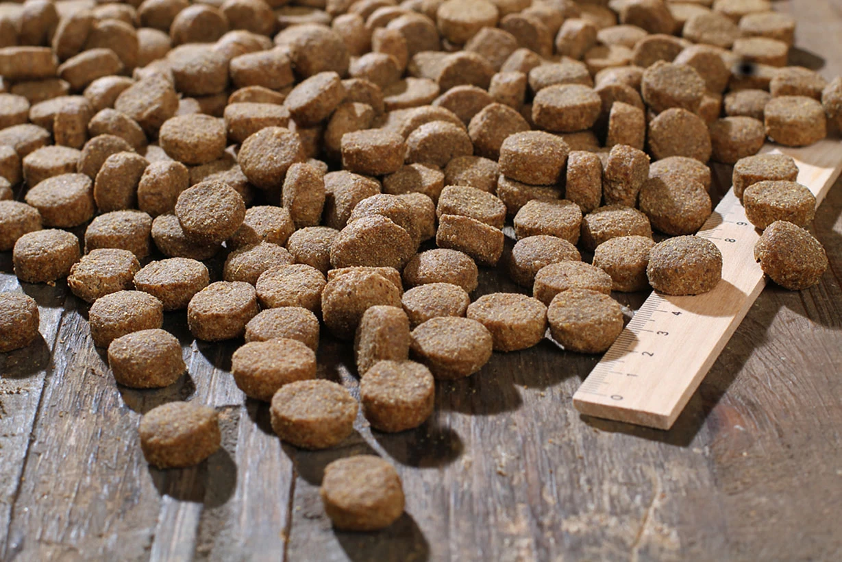 Bewi Dog Basic 25kg 3 Bewi Dog Basic 25kg - Image 3