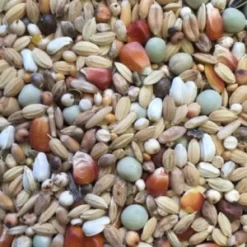 Spinne Sander Reise Leicht 25kg