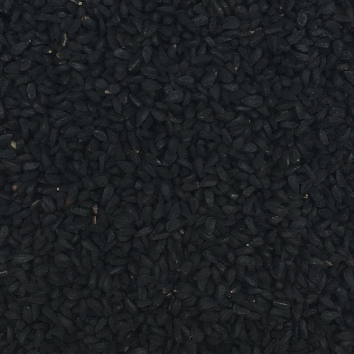 Schwarzkümmelsaat - Gladen 2,5kg 1 Schwarzkümmelsaat - Gladen 2,5kg