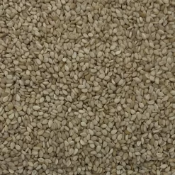 Sesamsaat - Gladen 2,5kg