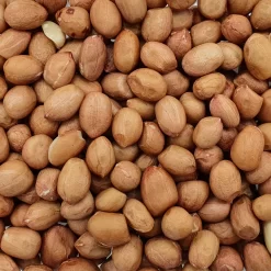 Erdnüsse Spitzenqualität - Spinne 25kg
