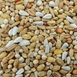 Spinne Leichte Kost 25kg