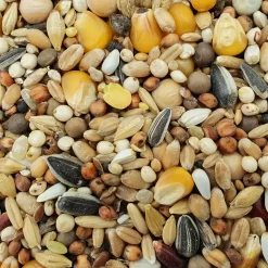 Spinne Mauser Forte 25kg