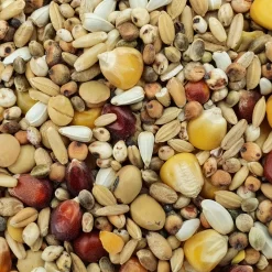 Spinne Top Energy 25kg