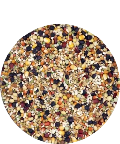 Versele Superstar Plus IC+ Black Label 20kg