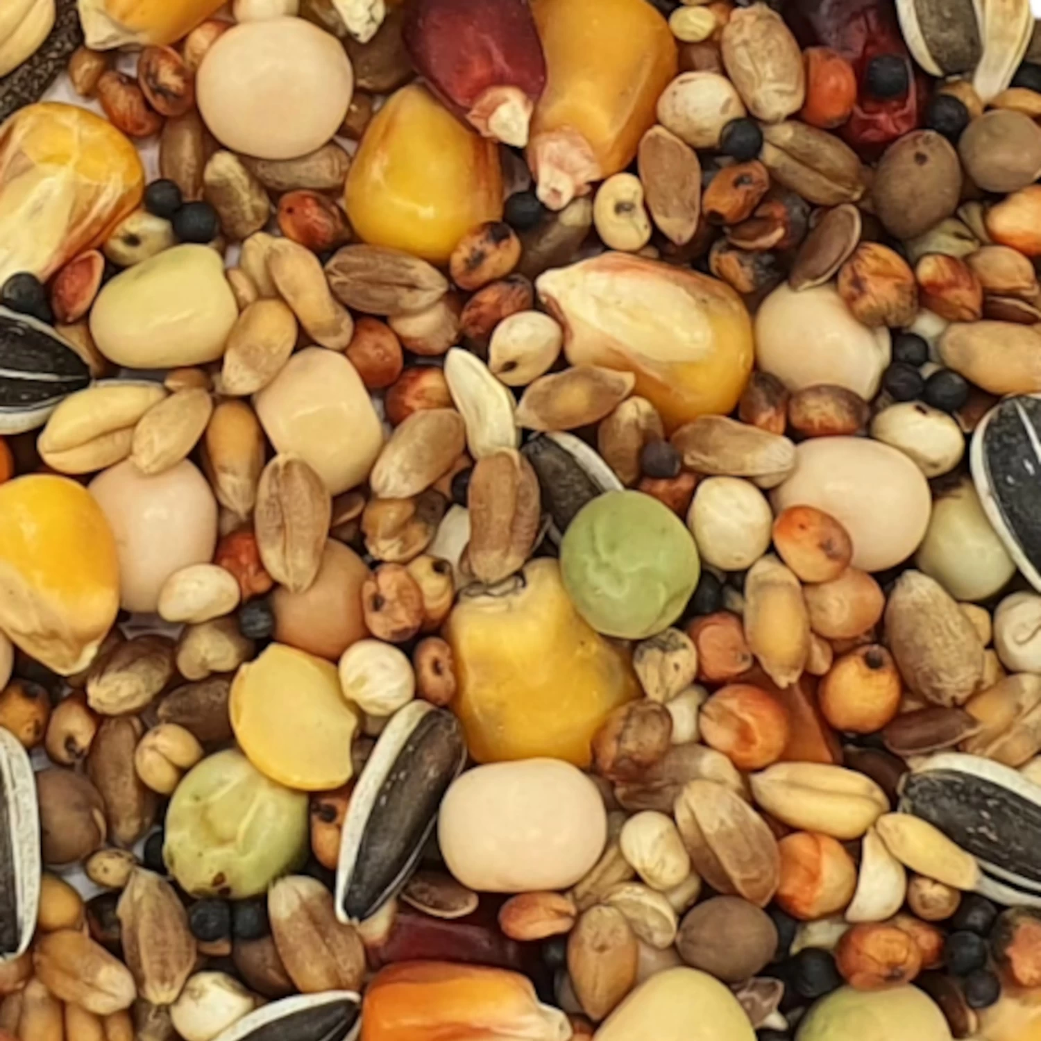 Vanrobaeys Nr.837 All In Olympia 20kg 1 Vanrobaeys Nr.837 All In Olympia 20kg