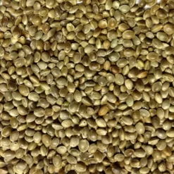 Hanfsaat Mittel - Vanrobaeys 15kg