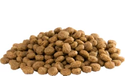 Versele Floating Ibis 15kg -Tierfutter Verkauf versele floating ibis inhalt