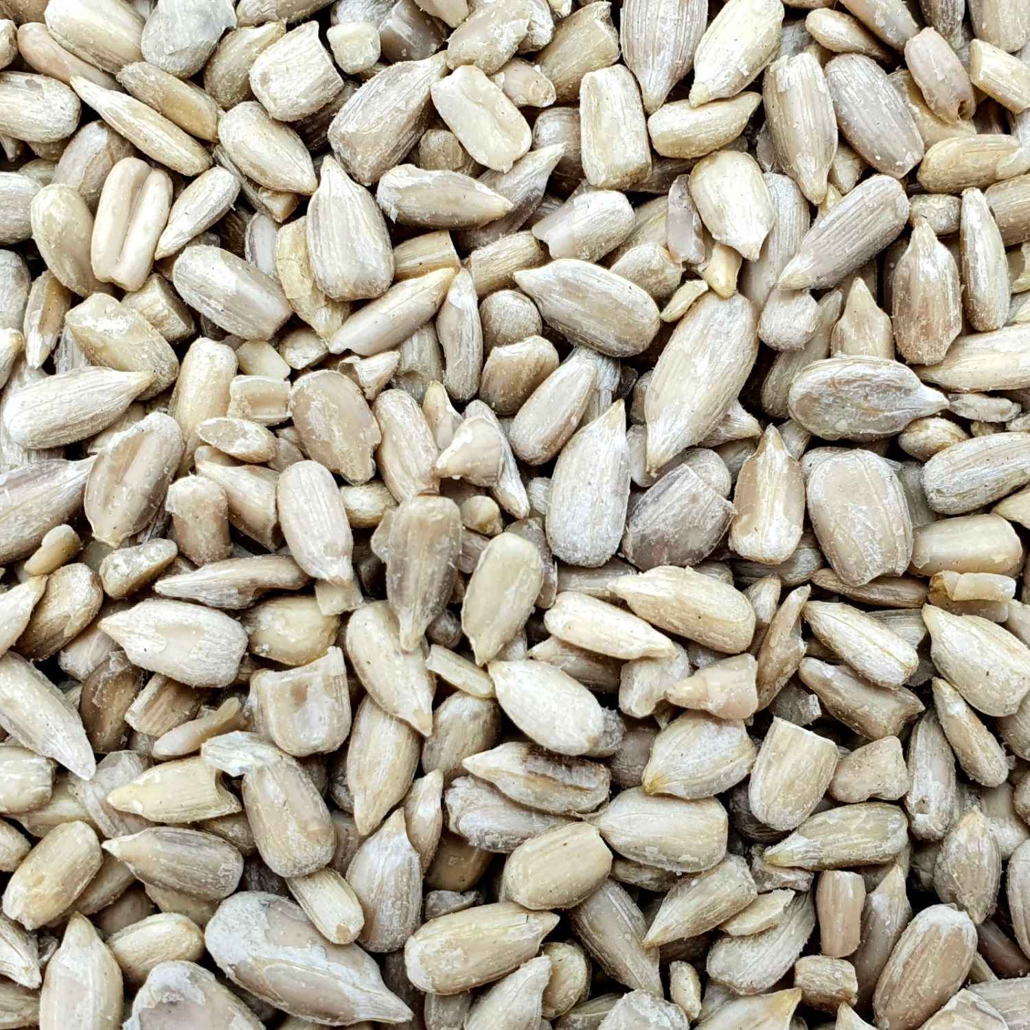 Sonnenblumenkerne Geschält - Vanrobaeys 25kg 1 Sonnenblumenkerne Geschält - Vanrobaeys 25kg