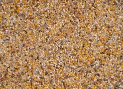 Beyers 6 Energy Soja Witwer Ost 25Kg