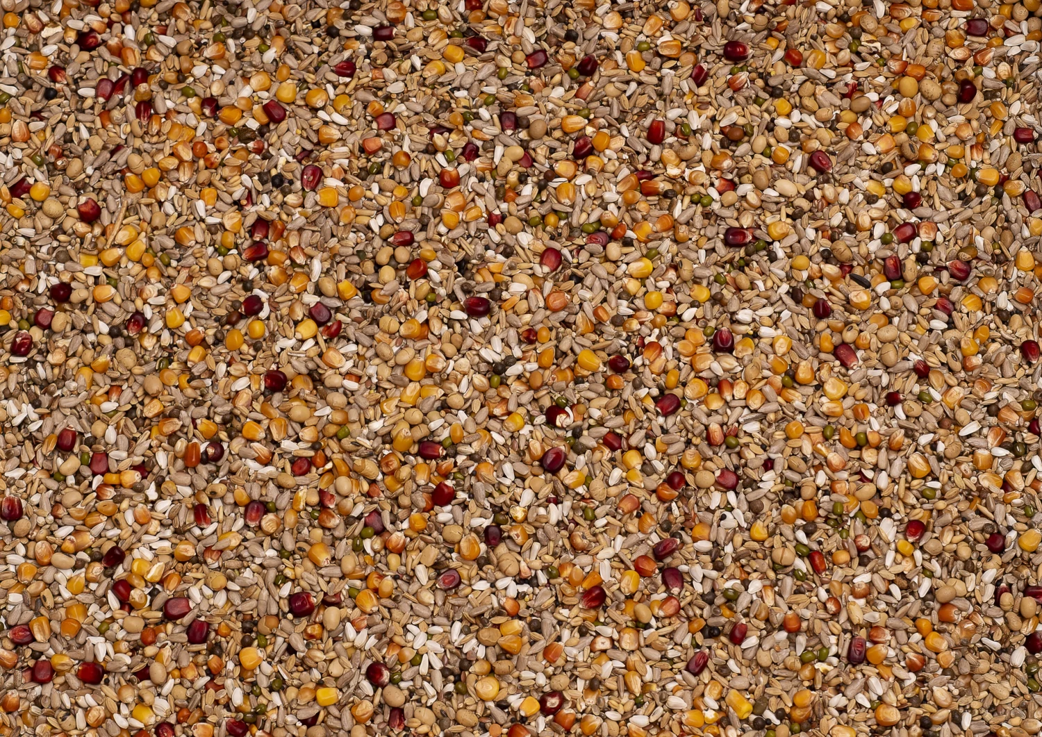 Tierfutter Verkauf -Tierfutter Verkauf zaad 004562 galaxy sport energy scaled 1